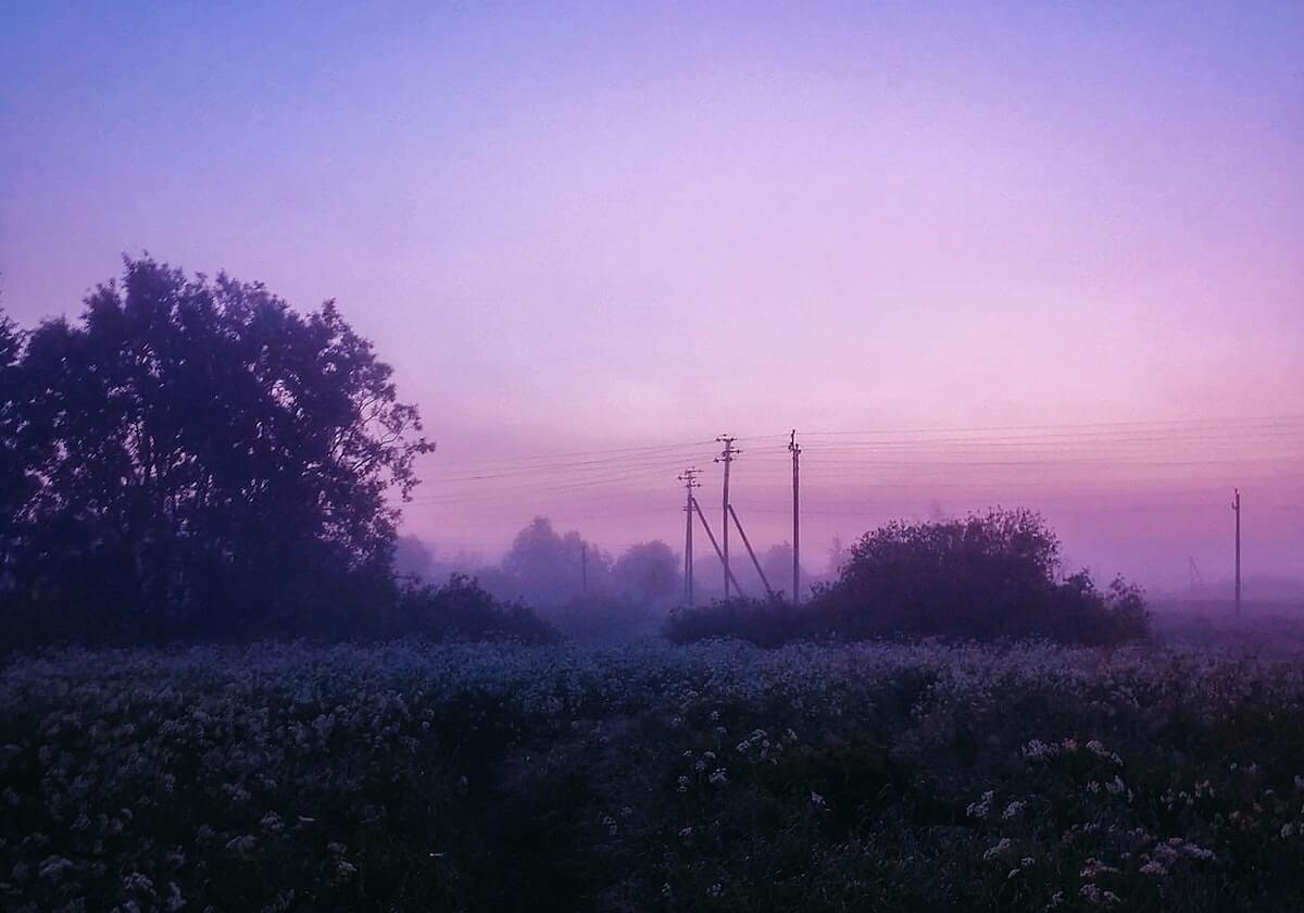 开云官网：开启无限可能的数字化生活新入口