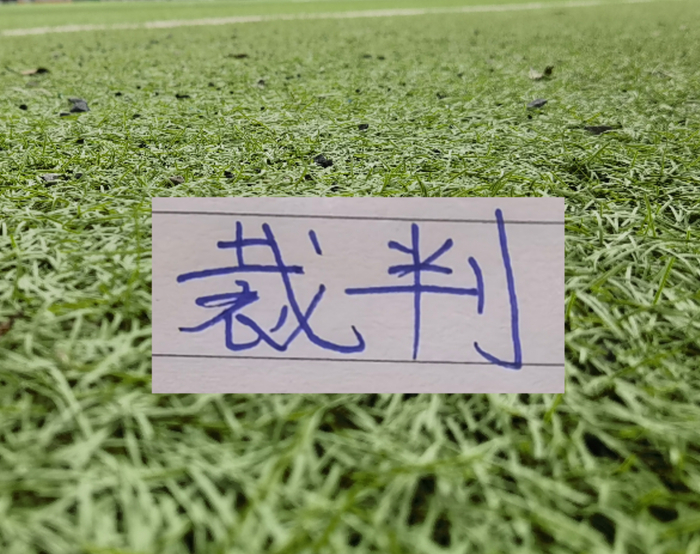 开云电子-第11轮北京国安VS 卫冕冠军的主裁 果然是马老师|中超|上海海港|足协|裁判|红牌_新浪体育_新浪新闻